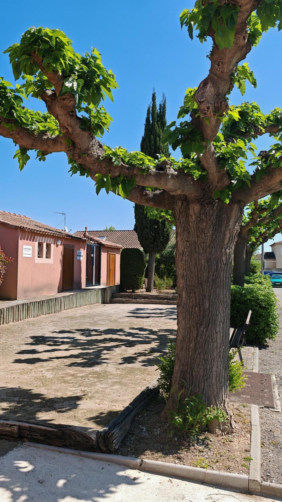 Le Mazet Sooksabai, Confort, Charme Et Decouverte En Petite Camargue Saint Laurent d'Aigouze Bagian luar foto
